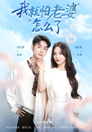 我就怕老婆怎么了（88集）经典回顾免费看