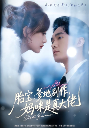 胎宝：爹地别作，妈咪是真大佬（60集）百度网盘在线看