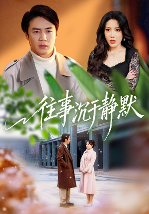 往事沉于静默（70集）精彩好看的短剧