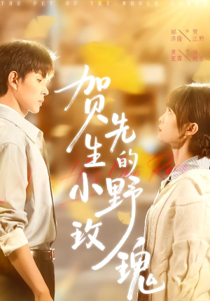 贺先生的小野玫瑰（99集）女频短剧推荐