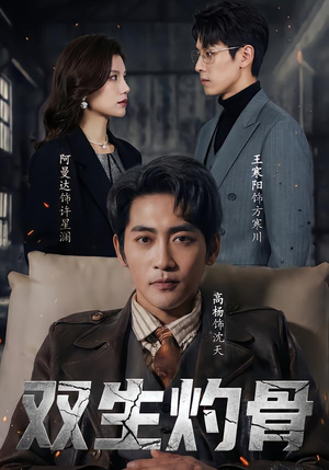 双生灼骨（60集）不用花钱看全剧