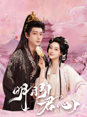 明月引君心（74集）热门火爆短剧