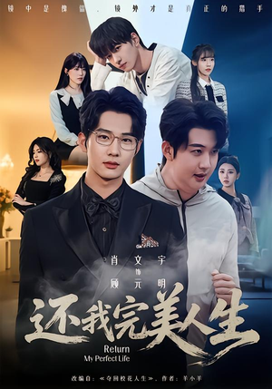 还我完美人生（73集）高清画质免费看
