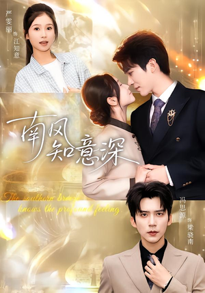 南风知意深（40集）好看的短剧