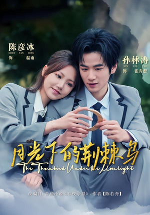 月光下的荆棘鸟（80集）熬夜追短剧