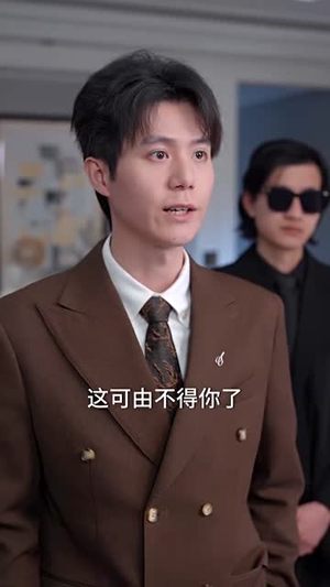 消失在他的世界（71集）剧情简介