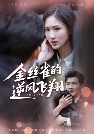 金丝雀的逆风飞翔（80集）在哪看是免费的