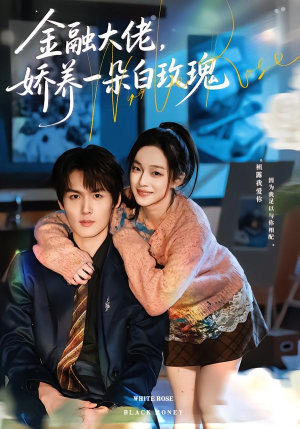 金融大佬，娇养一朵白玫瑰（70集）女频短剧推荐