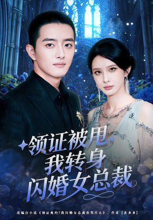 领证被甩，我转身闪婚女总裁（80集）哪个短剧网能看