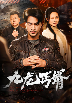 九龙丐婿（81集）完整版免费观看