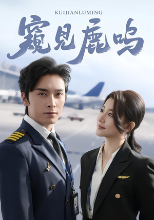 窥见鹿鸣（60集）大结局一气呵成