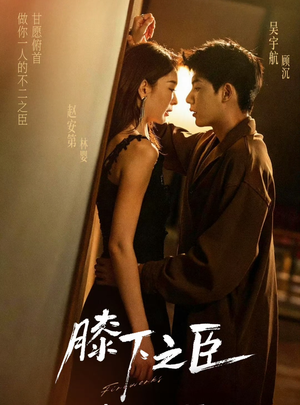 膝下之臣（56集）推荐你们也去看