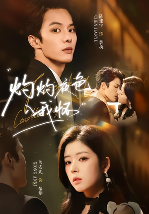 灼灼夜色入我怀（60集）河马免费短剧