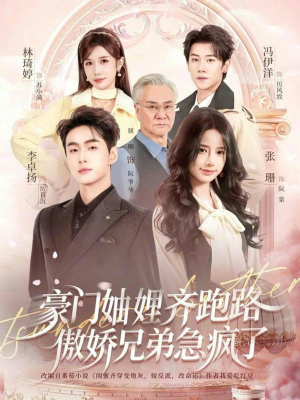 豪门妯娌齐跑路傲娇兄弟急疯了（70集）精彩的网络短剧