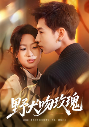 野犬吻玫瑰（70集）评价怎么样