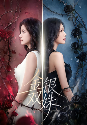 金银双姝（80集）热门短剧抢先