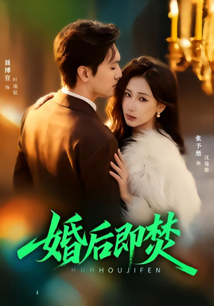 婚后即焚（77集）短剧小说在线看