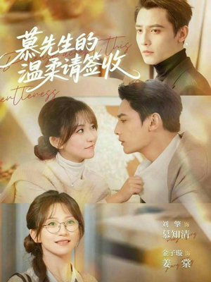慕先生的温柔请签收（90集）免费短剧大全