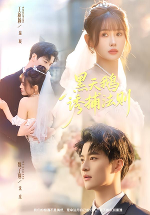 黑天鹅诱捕法册(80集) 黑天鹅诱捕法册(80集)短剧在线看