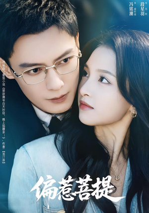 偏惹菩提（73集）一共多少集