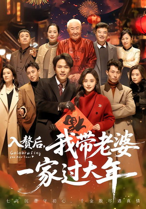 入赘后，我带老婆一家过大年（60集）越看越好看短剧