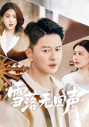 雪落无回声(60集) 雪落无回声(60集)真的太精彩了