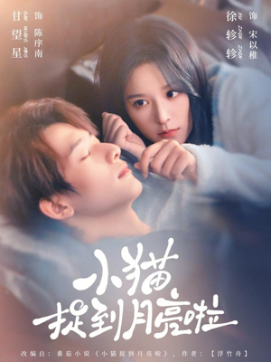小猫捉到月亮啦（80集）短剧推荐上热门