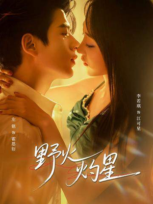 野火灼星（56集）红果短剧看全集