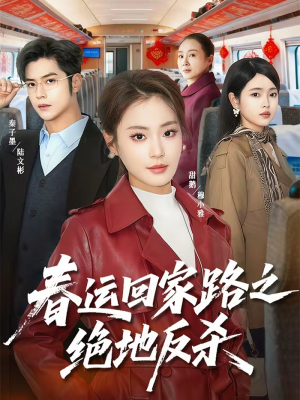 春运回家路之绝地反杀（59集）80到100集