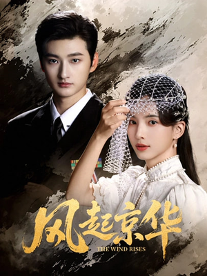 风Q京华（60集）全集在线看