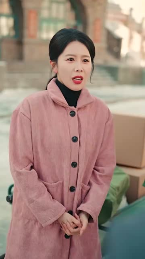 南城积雪已成空(60集) 南城积雪已成空(60集)完整版