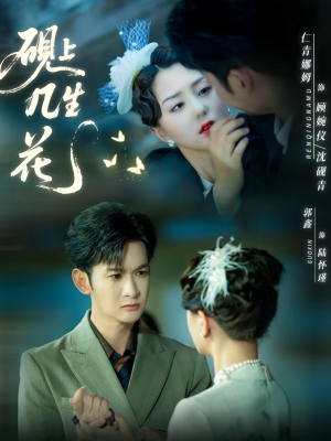 砚上几生花（62集）一共多少集