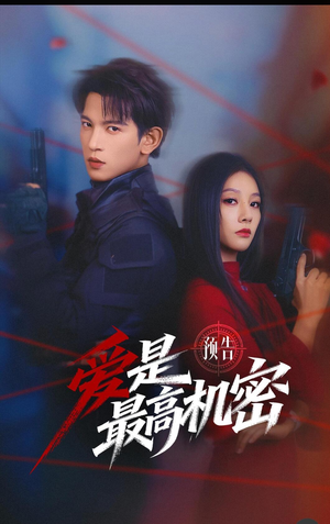 爱是最高机密(24集) 爱是最高机密(24集)看到了大结局
