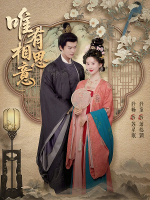 唯有相思意(100集) 唯有相思意(100集)超甜短剧分享