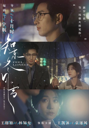 知京冬风雪（68集）热门短剧榜单