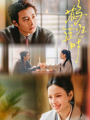 鹤归瑾时（81集）热播短剧追不停