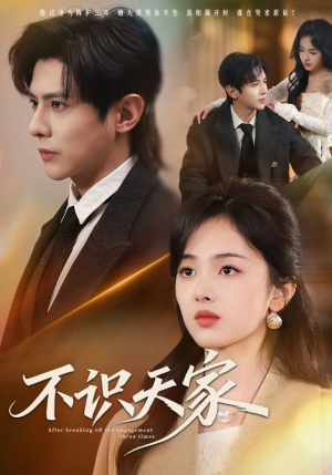不识天家（69集）女频短剧推荐