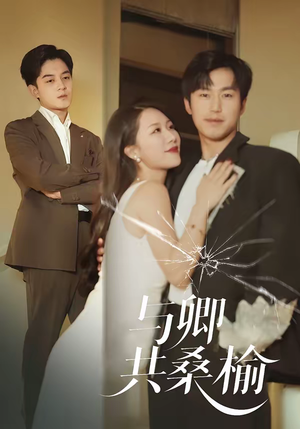 与卿共桑榆(63集) 与卿共桑榆(63集)百度在线观看