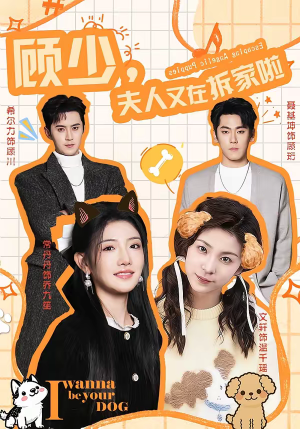 顾少，夫人又在拆家啦（78集）河马免费短剧