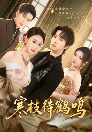 寒枝待鹤鸣（70集）短剧热门合集