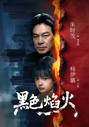 黑色焰火（41集）每天短剧分享