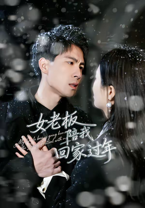 女老板陪我回家过年（40集）免费短剧资源