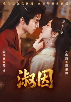 淑因(65集) 淑因(65集)好看又上头短剧