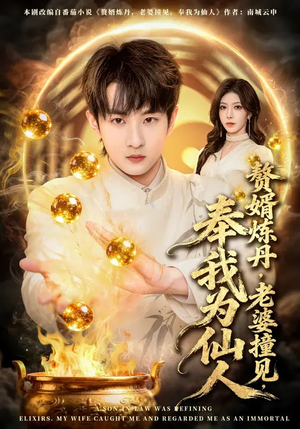 赘婿炼丹,老婆撞见,奉我为仙人(59集) 赘婿炼丹,老婆撞见,奉我为仙人(59集)免费短剧合集