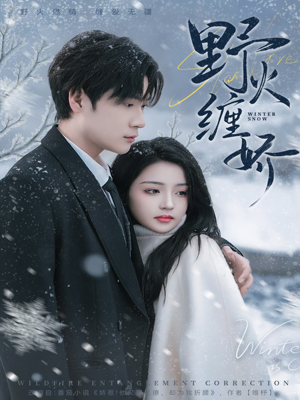 野火缠娇(66集) 野火缠娇(66集)短剧解说全集