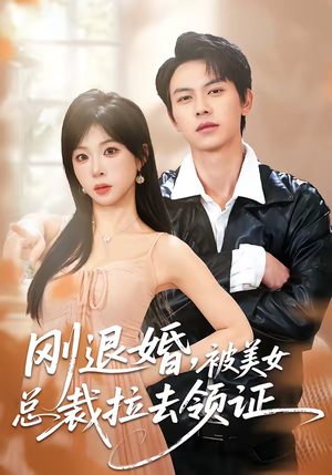 刚退婚,被美女总裁拉去领证(81集) 刚退婚,被美女总裁拉去领证(81集)全集一次看完