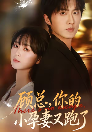 顾总,你的小孕妻又跑了(47集) 顾总,你的小孕妻又跑了(47集)无需会员免费看