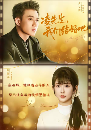 凌先生,我们结婚吧(68集) 凌先生,我们结婚吧(68集)全集免费