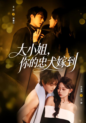 大小姐，你的忠犬嫁到（80集）最新短剧推荐