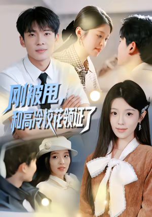 刚被甩，和高冷校花领证了（67集）短剧全集抢先看